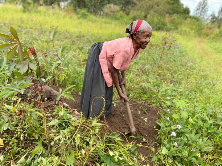 Back on Track: Sustainable Farming in Uganda!